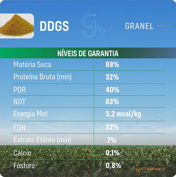 DDGS, DDG e WDG. Qual a diferença?